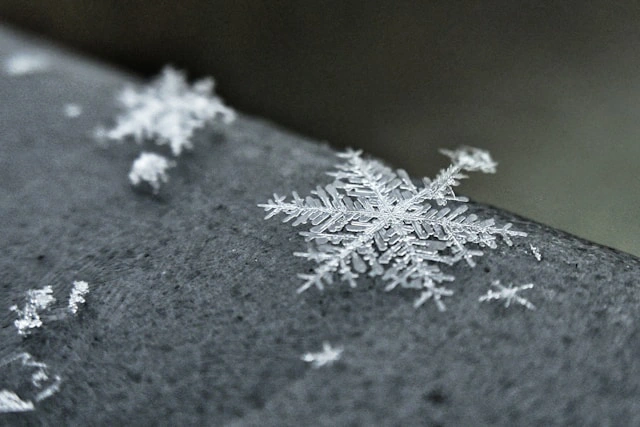 La magia della neve