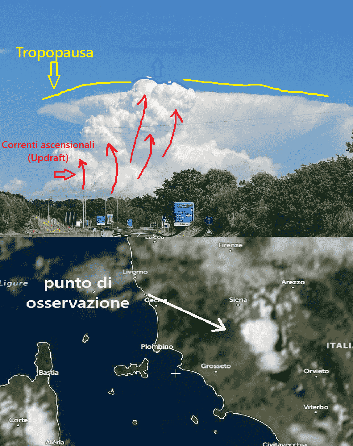 Aggiornamento di martedì 7 uglio Ore 18.45